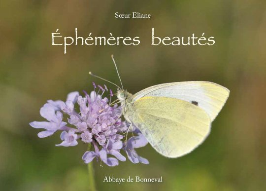 Ephémères beautés